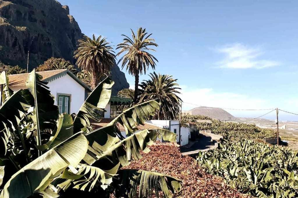 Interian Tatil Evi
